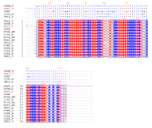 N•ESpript example 1