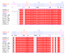 N•ESpript example 2